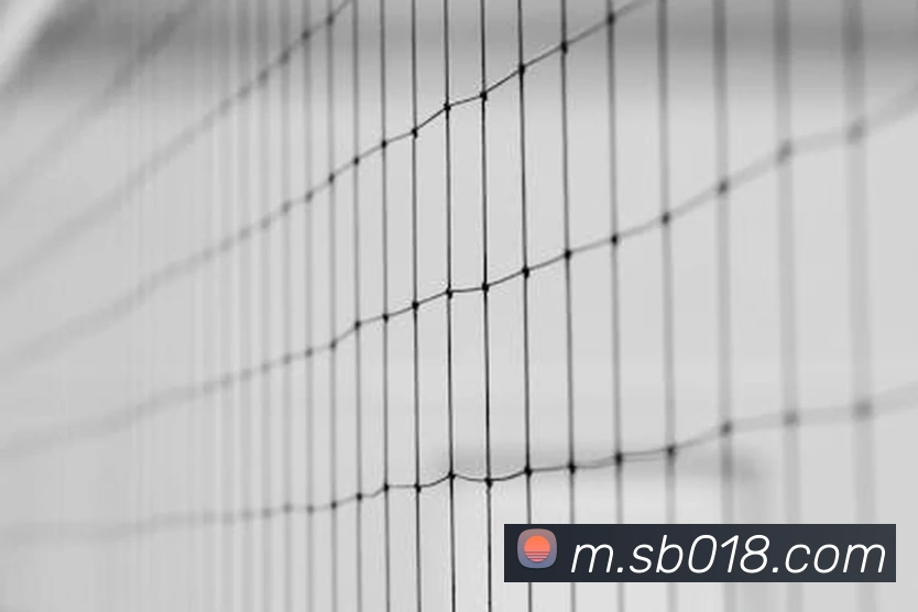 sunbet申博官网品牌故事